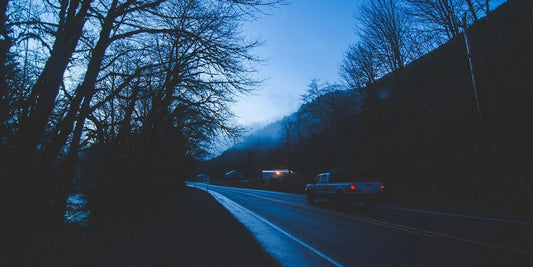 Install a Thermal Imager in Your Car to Enhance Road Safety