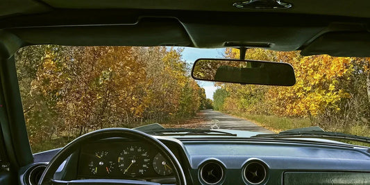 Why Every Vehicle Owner Should Have an OBD II Scanner