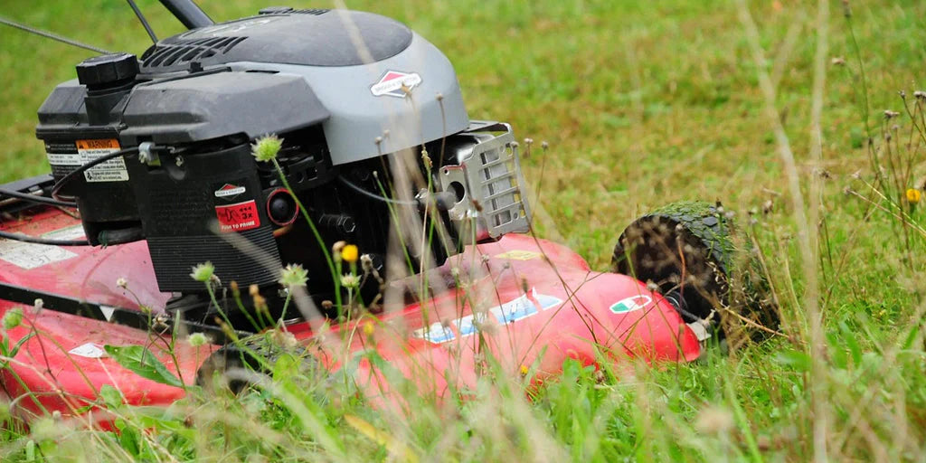 Battery Monitor for 6V Starter Batteries